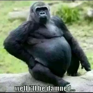 Meet your Posher, Latisha